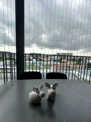 The Florence Residences (D19), Apartment #604397101